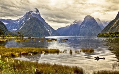 the pond, mountains, the fjord, milford sound, new zealand