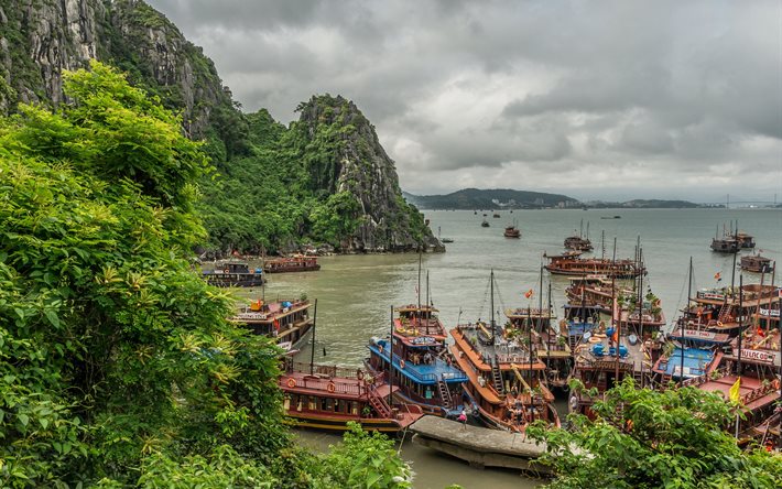 vietnã, baía de halong, cais, navios, paisagem