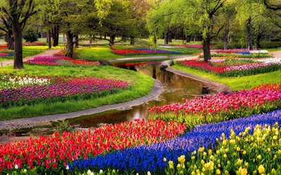 stagno, tulipani, yoyogi di tokyo, in giappone, alberi, parco, fiori