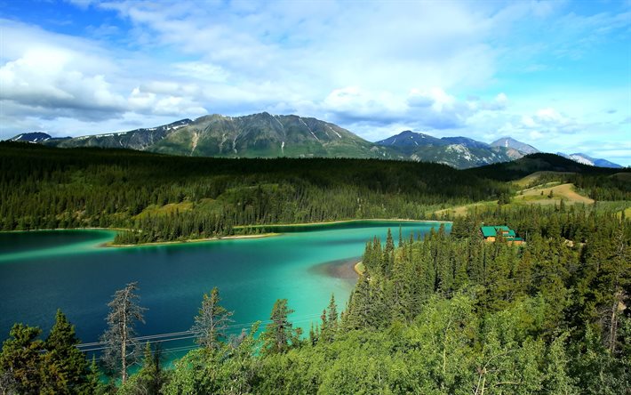 lake, yoho, Kanada Ulusal park emerald emerald Gölü, emerald Gölü, orman, Kanada