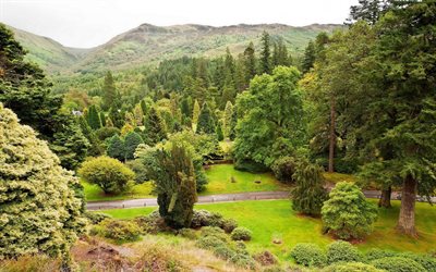 اسكتلندا, الأشجار, العشب, المسار, الحديقة النباتية, الأصغر سنا, benmore