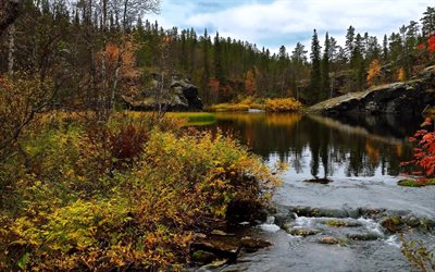 lapland, finland, river, forest, grass, autumn