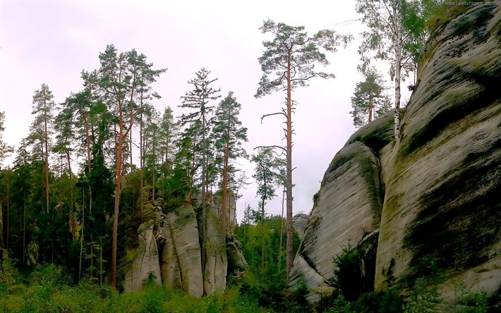 rock, trees, stones, the bushes, forest, the sky, greens