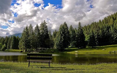 day, clouds, bench, shop, the lake, needles, tree, forest, mountains