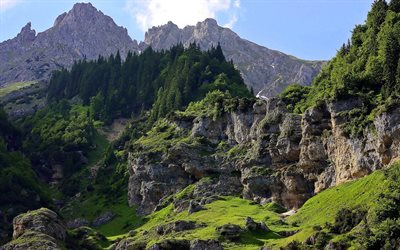 trees, rock, moss, mountains, the slope, summer, stones