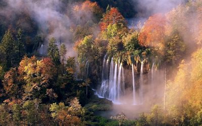 skog, kroatien, plitvice sjöar, vattenfall, höst, dimma