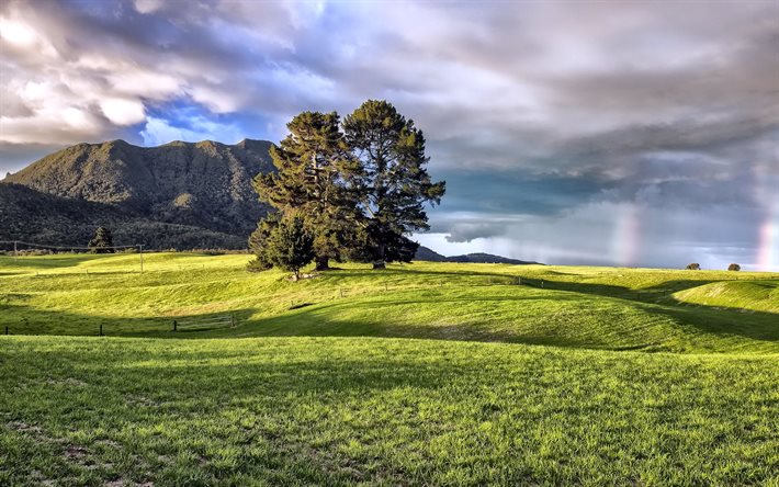 campo, alberi, montagne, nuvole