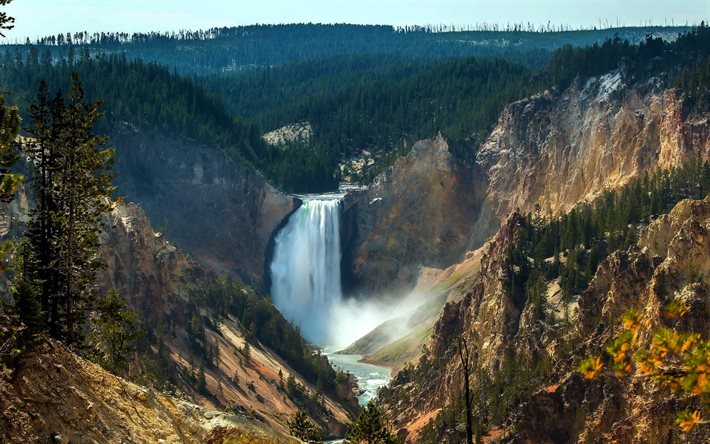 rock, forest, the waterfall lover, national park, yellowstone, usa, canyon junction, wyoming, usа, lower falls