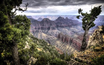 arizona, संयुक्त राज्य अमेरिका, भव्य घाटी, पहाड़ों, पेड़