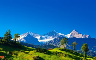 switzerland, mountains, alps, hills, greens, grass, alpes, trees, houses