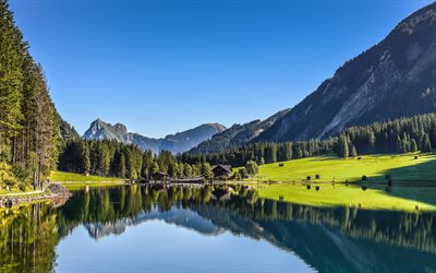 tyrolen, reflektion, skog, berg, sjön, österrike