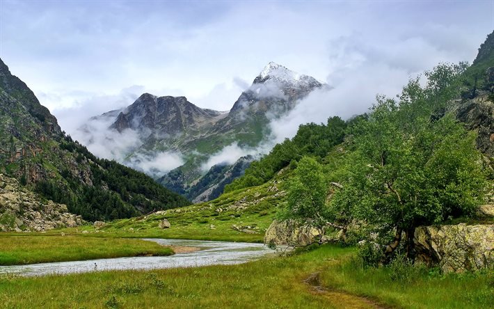 clouds, mountains, tree, river, valley