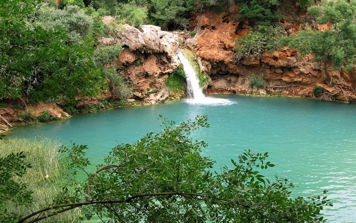 os arbustos, agua, cachoeira, portugal