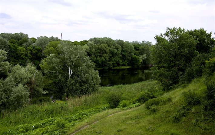 الأشجار, المسار, نهر, seversky دونتس, أوكرانيا