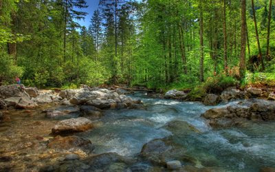 río piedras, bosque, alemania, bayern