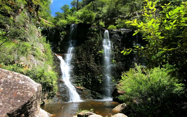 forest, waterfall, park, australia, blue mountain
