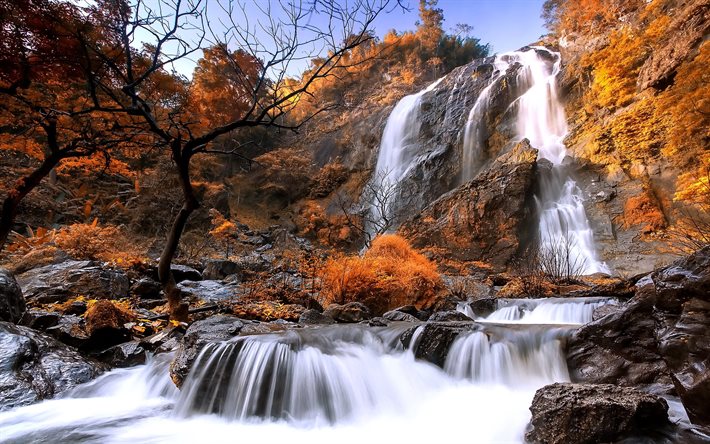 rocha, floresta, cascata, outono, corrente