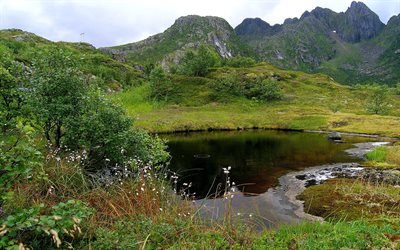 lo stagno, l'acqua, le montagne, la norvegia, erba