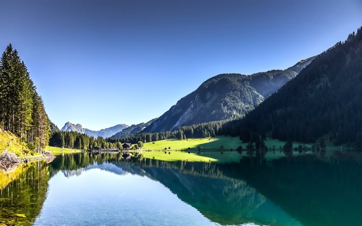 tyrol, near tannheim, austria, forest, mountains, the lake