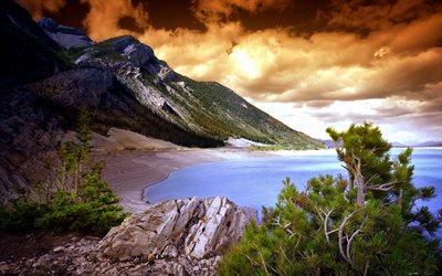 meri, ranta, valtameri, vuoret, rannikko, puut, kivet, söivät