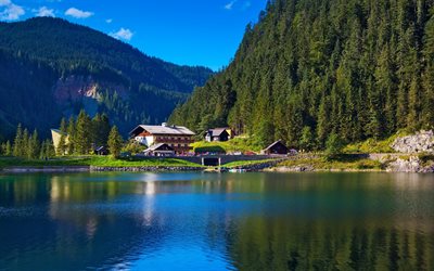 greens, nature, houses, home, alpes, the lake, trees, mountains, alps