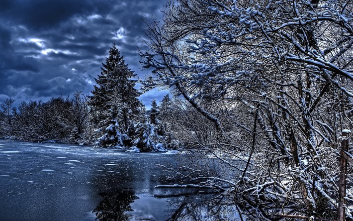 the pond, snow, winter, ice, spruce, trees