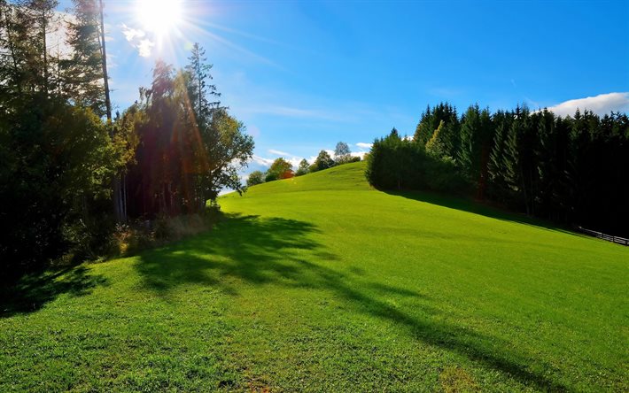 austria, graz, the sky, meadow, bright sun