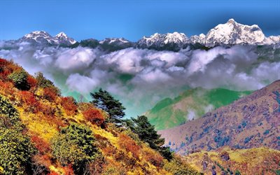 clouds, mountains, trees, the bushes, the top, autumn