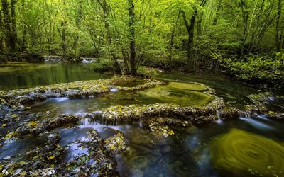 forest, river, frankreich, franche comte