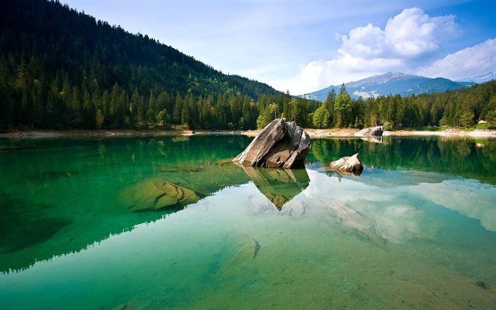 rock, shore, water, forest, stone, switzerland, mountains, transparent, the lake, the pond, reflection