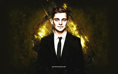 martin garrix, niederländisch dj, goldener steinhintergrund, grunge  kunst, martijn gerard garritsen, kreative kunst