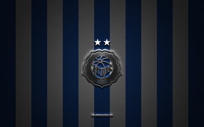 hjk helsinki logosu, fin futbol takımı, veikkausliiga, mavi beyaz karbon arka plan, hjk helsinki amblemi, futbol, hjk helsinki, finlandiya, fc hjk
