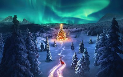 森の新年の木, 4k, 冬, そりのサンタクロース, 夜, オーロラ, スノードリフト, 雪に覆われた森, 新年の飾り, あけましておめでとう, サンタクロース, メリークリスマス
