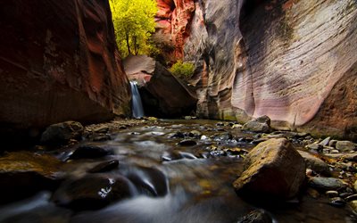 canyon, falaise, fleuve, Utah, États-unis, le Parc National de Zion