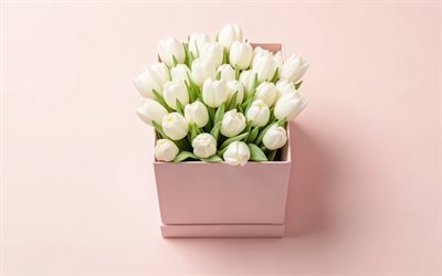 White tulips in a pink box, flower decoration, white tulips, spring decoration, tulips, spring flowers, tulip bouquet, spring