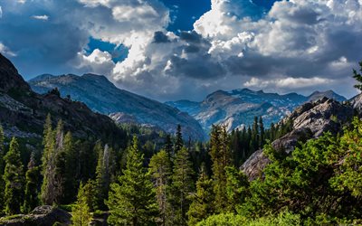 montagnes rocheuses, falaises, paysage de montagne, printemps, forêt, montagnes, californie, usa