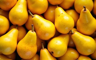 4k, peras amarillas, macro, frutas frescas, de cerca, peras premium, frutas maduras, peras maduras, fondo con peras, frutas, peras