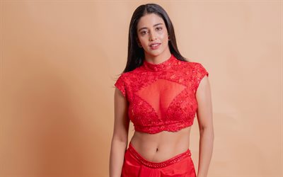 daksha nagarkar, 4k, saree, atriz indiana, bollywood, beleza, retrato, fotos com daksha nagarkar, mulher morena, atriz popular, celebridade indiana, sessão fotográfica de daksha nagarkar