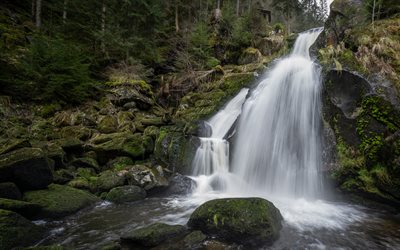 cascata, rocce, foresta, bella cascata, river di montagna, montagne, muschio verde su pietre, cascate