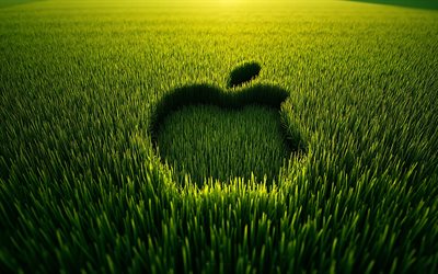 شعار أبل على العشب, 4k, حقل العشب, شعار أبل, العشب الأخضر, علامة أبل, تفاحة, شعار التفاح الأخضر, شعار عشب التفاح, علامة التفاح في العشب