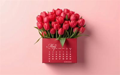 2026年5月カレンダー, 赤いチューリップ, 2026年カレンダー, 赤い背景, チューリップ, 5月