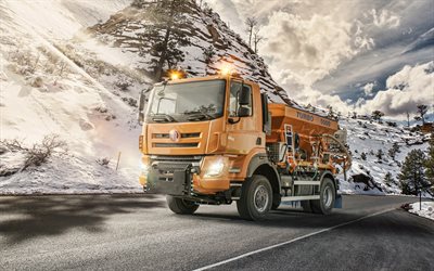 2023, Tatra Phoenix, Euro 6, special trucks, road services, new Tatra Phoenix, trucks, road deicing, Tatra