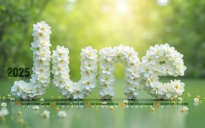 4k, calendario 2025 de junio, letras florales blancas, junio ​​de 2025, calendarios de verano, fondos verdes, calendario de junio de 2025, flores 3d blancas, 2025 conceptos, calendarios de junio, letras 3d blancas, 2025 calendarios, junio