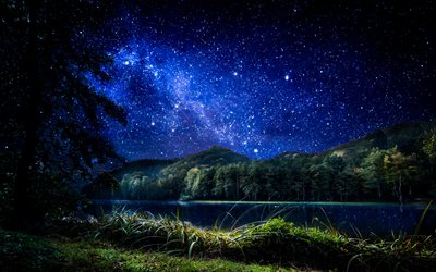 night, forest, lake, starry sky, grass, sky, stars