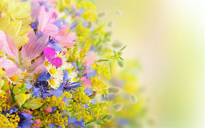 wildflowers, floral background