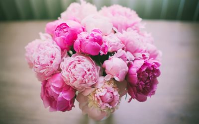 rosa pfingstrosen, bouquet von pfingstrosen, pfingstrosen