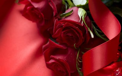 fundo romântico, rosas vermelhas, flores românticas