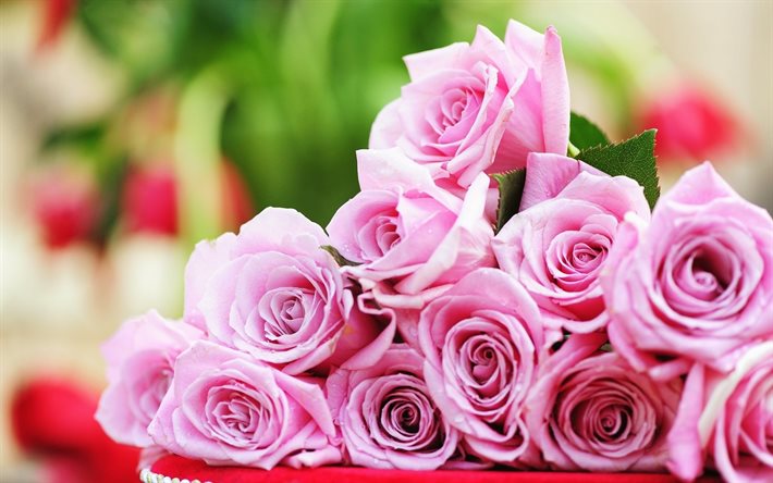 미, 분홍색 roses, 장미의 꽃다발, 꽃다발