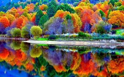 शरद ऋतु परिदृश्य, शरद ऋतु, झील, रंगीन पेड़