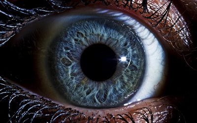 occhio, retina, occhio umano, macro, occhi